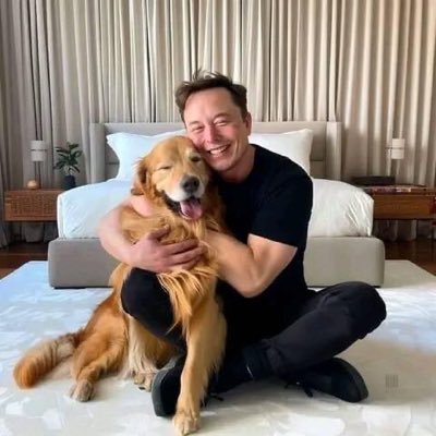 Automated notifications for new Elon Musk likes, replies | By @jonaslismont | Also check @bigtechlikes, @viral_accounts. Get your own X automation: https://t.co/IbN24nRaXj