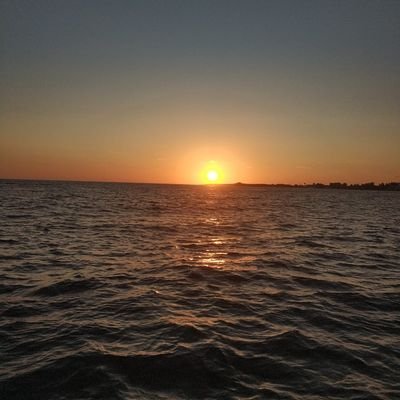 tvgg_1917's profile picture. ...