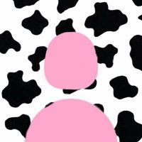halah (@halahaeid) 's Twitter Profile