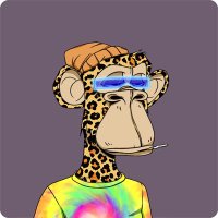 Bored Cheetah (@boredcheetah) 's Twitter Profile