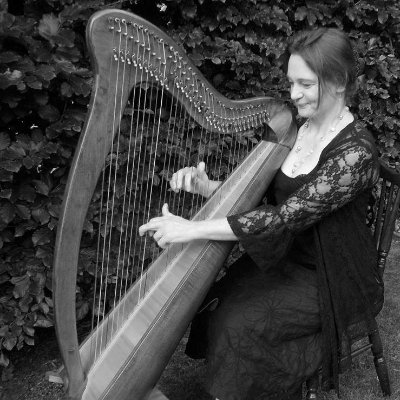 Maths, mountains and music.
Moments of Solace (music for students of the Celtic harp)
RBST interests (equestrian)
GCSE Maths tutor