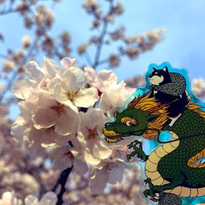 kaomizu32's profile picture. 老犬老猫をこよなく愛する人。
ちょぼちょぼとライター活動をしております。
2023年2月22日愛犬・柴子が17歳7カ月で虹🌈の橋へ。
現在はシニアに突入した黒猫二代目、保護猫きぃちゃんに時々旦那との4人暮らし。
（その他お空組の猫はキジ・黒・茶トラ白・黒・サバトラ白パグ子）