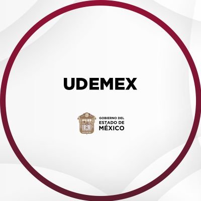 Universidad Digital del Estado de México.