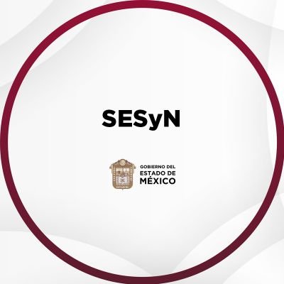 Sesyn_edomex Profile Picture