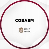 COBAEM(@COBAEMex) 's Twitter Profile Photo