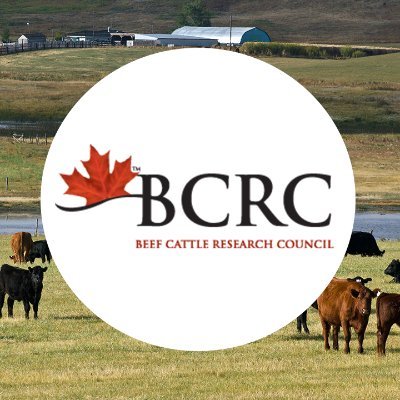 The Beef Cattle Research Council strives for excellence in the production of Canadian beef and forage through research, innovation and extension.