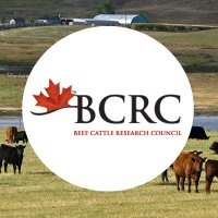 Beef Cattle Research(@BeefResearch) 's Twitter Profile Photo