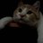 ItsBiscuitYo's profile image