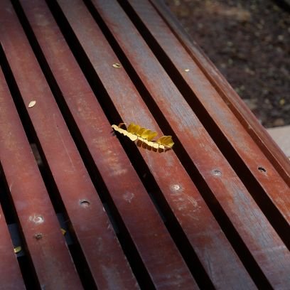 BagusWilar's profile picture. 