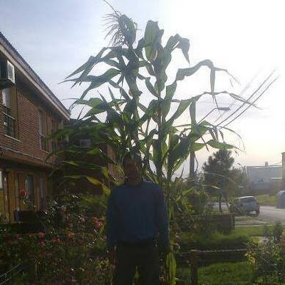 sebadelrioa's profile picture. 