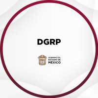 DG del Registro Estatal de Transporte Público(@DGRegPub_Edomex) 's Twitter Profile Photo