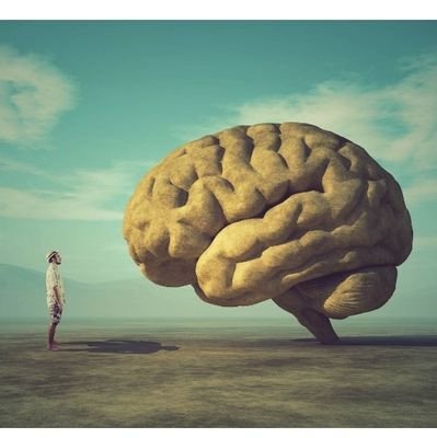 El desarrollo de la humanidad es buscar la Libertad: Profesional, Financiera y Emocional /Opinion Personal/ Política/👎 La Izquierda 🤮