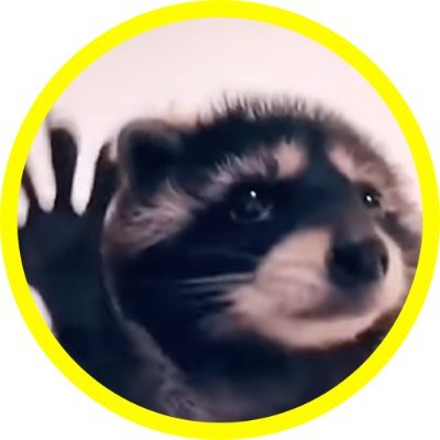 I am Pedro and I like to $RAVE 🔥

It's literally a raving racoon, wat do u mean?
https://t.co/LZ3A36wc0i