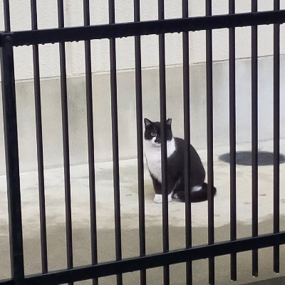 mitonylon0317's profile picture. 30↑ 　
俳優の大倉孝二さんが好きです。
こたけ正義感さんが猛追してます。
舞台鑑賞が生き甲斐。
雑多な趣味アカウントです。