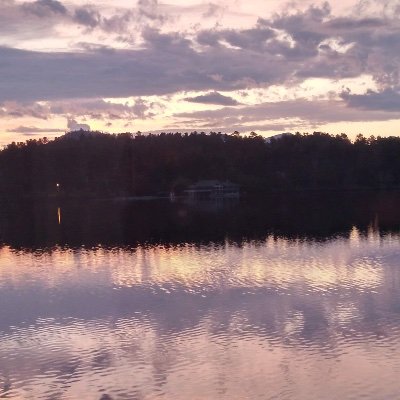 RomainComeau1's profile picture. 
