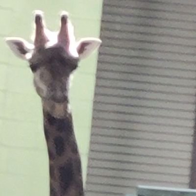 _InsanityDemon_'s profile picture. I exist to exist.