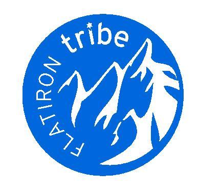 The Flatiron Tribe is your one-stop shop for all Jewish young adult activities within Boulder County!