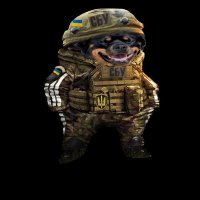 Tracey SBU Fella 🇬🇧🇺🇦 #NAFO (@trajaykay) 's Twitter Profile Photo Tracey SBU Fella 🇬🇧🇺🇦 #NAFO (@trajaykay) 's Twitter Profile Photo