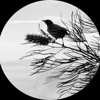 marionjoy56's profile picture. intuition
education
creativity