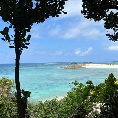 minoh_style's profile picture. いつでも稼ぐ