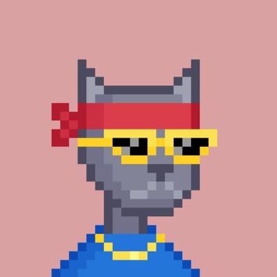 TheMaticCat Profile Picture