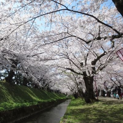 青森県弘前周辺在住、弘前市出身、先々代のりんご娘のジョナゴールド、レッドゴールド時代からのりんご娘のファンです。
りんご娘、ライスボール、先代りんご娘の王林、ジョナゴールド、和海、赤坂麻凪を応援してます。
趣味
リンゴミュージックライブ動画鑑賞🍎🍙

ゲーム(PS5)
龍が如くシリーズ