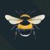 Bee (@3dbeeing) Twitter profile photo Bee (@3dbeeing) Twitter profile photo