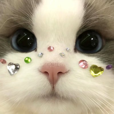 🐰 แอคปล่อยของ เอ้บของงับ🐻 🔶💞 🫶🏻 🫶🏻💖💖 ส่งจริงแก มาซื้อต่อที🥹 ใครทักไม่ได้ เมนชั่นไว้เลยค้าบ