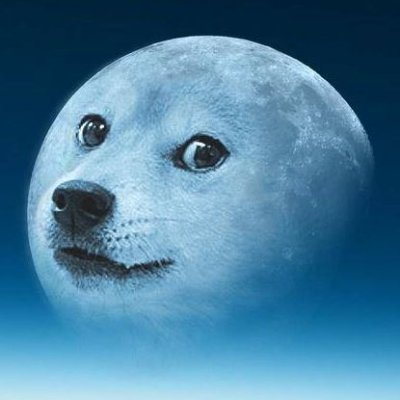 MoonDoge69420 Profile Picture