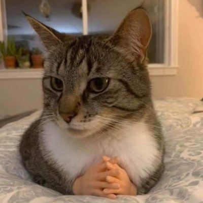 Rivaini776's profile picture. 