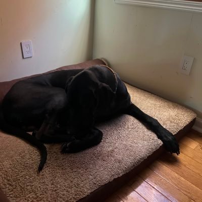 kerodula1's profile picture. 