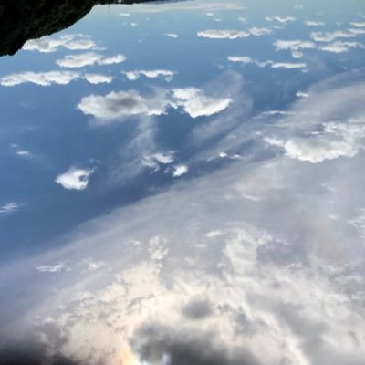 mattyann8888's profile picture. 