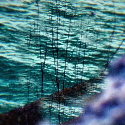 Hey! he/him. photography sometimes here and generally on instagram. website below. letterboxd 🤓✍️: https://t.co/95C7jg329J
