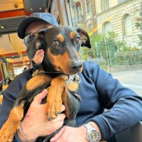 Südschwede (@audaxmichalis) 's Twitter Profile