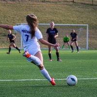vesper kline (@vesperkline) 's Twitter Profile