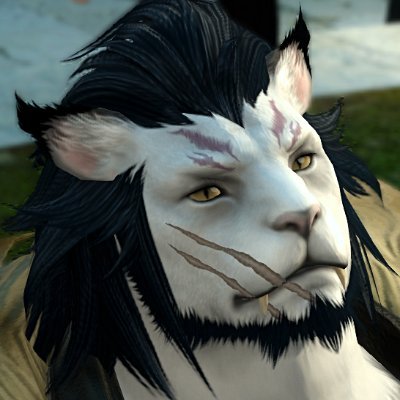 ED_in_FF14 Profile Picture