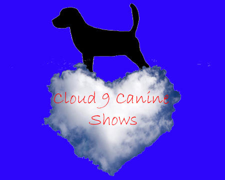 Cloud9CS_'s profile picture. Cloud 9 Canine Shows is an online charity dog show perfect for anyone with a dog :-) Facebook: http://t.co/zxMs69qcW6