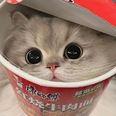 Don’t look into my eyes😎さんのプロフィール画像