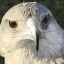 Jose Maria Alcon - @Alconyea - Twitter