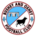 Bushey and Oxhey FC (@busheyandoxhey) Twitter profile photo Bushey and Oxhey FC (@busheyandoxhey) Twitter profile photo