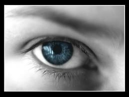 FotoDenunciaCL's profile picture. 