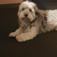NIGHTLOVER (@grafenhorst75) 's Twitter Profile