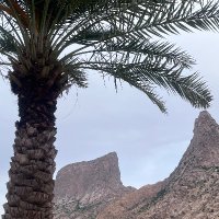 SouleyH (@samousou24) 's Twitter Profile Photo