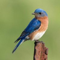 عبدالغفور البودالي (@boudali74) 's Twitter Profile