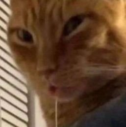 21 years old / Accounting major / Catholic 🇻🇦/ Funny meme enjoyer / Nanking Denier🇯🇵 / Amateur Tolkien scholar