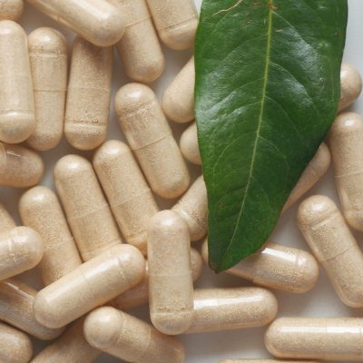 holisticlyfshub's profile picture. 