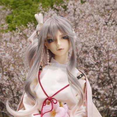 ドール専用垢です。DOLL:SDGr支倉（深弥-みや-）と一緒に暮らしております。 お花と一緒に撮るのが好きです 注:写真をよく連投します！ 無言フォロー大歓迎♪