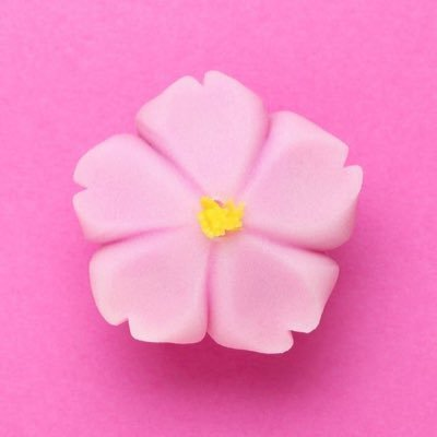 HAKKA61041291's profile picture. &TEAM応援してます！⭐️無言フォローお許しください⭐️SHINee、BTSも📣
🏷️→@HAKKAtag0406