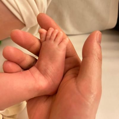 Shizc2024's profile picture. 