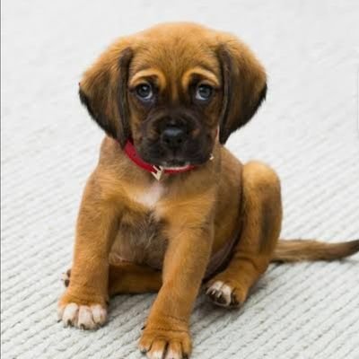 omsingh675's profile picture. 💯💯💯💯💯💯💯💯💯💯💯💯💯💯💯💯💯💯💯💯💯💯💯💯💯💯💯💯💯💯💯 follow back